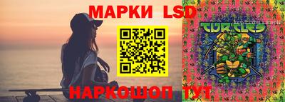 молекула духа Гатчина