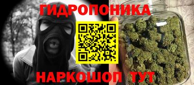 молекула духа Гатчина