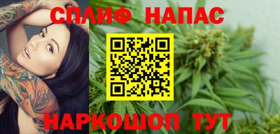 молекула духа Гатчина