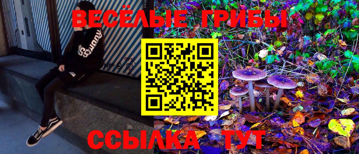 где можно купить наркотик  Псилоцибиновые грибы GOLDEN TEACHER  Можга  Вход с VPN  Галлюциногенные грибы прущие грибы 